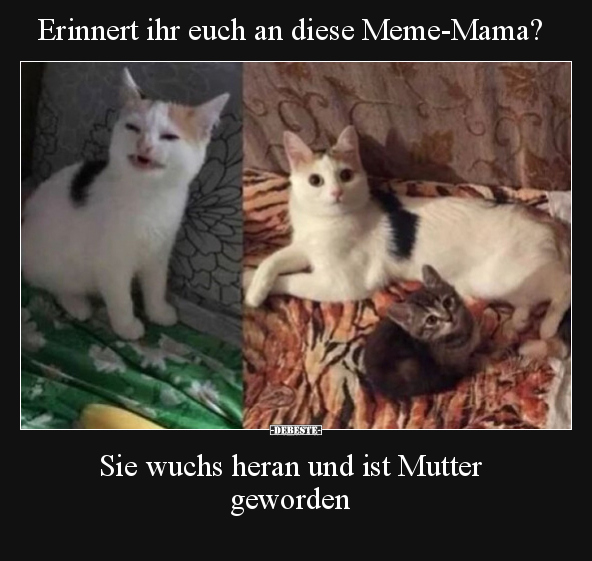 Erinnert ihr euch an diese Meme-Mama?... - Lustige Bilder | DEBESTE.de