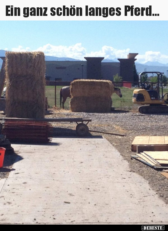 Ein ganz schön langes Pferd...