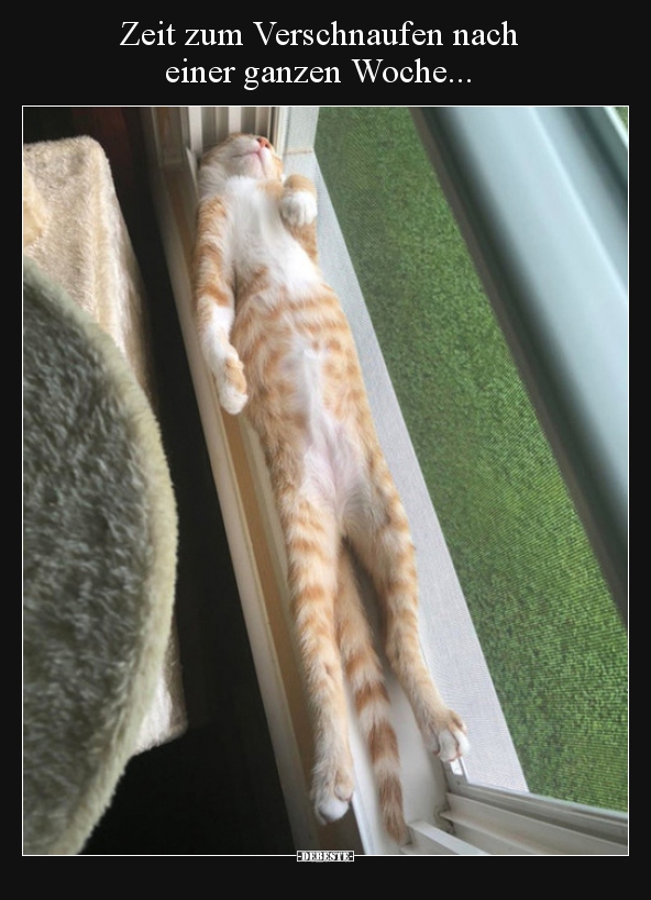 Zeit zum Verschnaufen nach einer ganzen Woche...