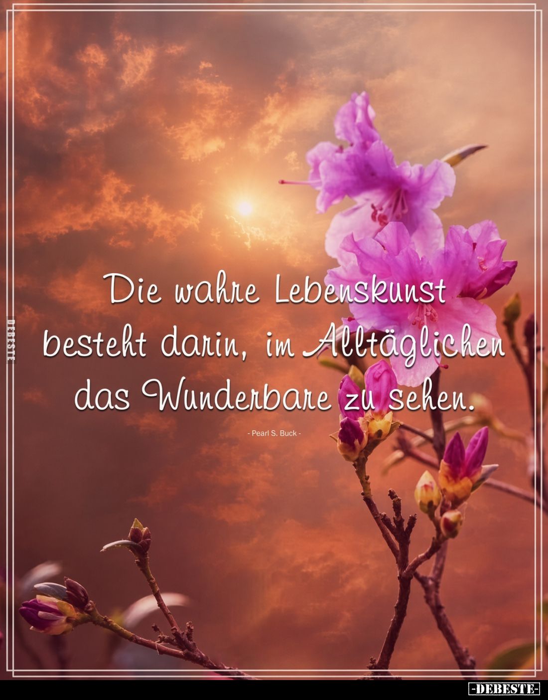 Die wahre Lebenskunst besteht darin, im Alltäglichen das Wunderbare zu sehen.