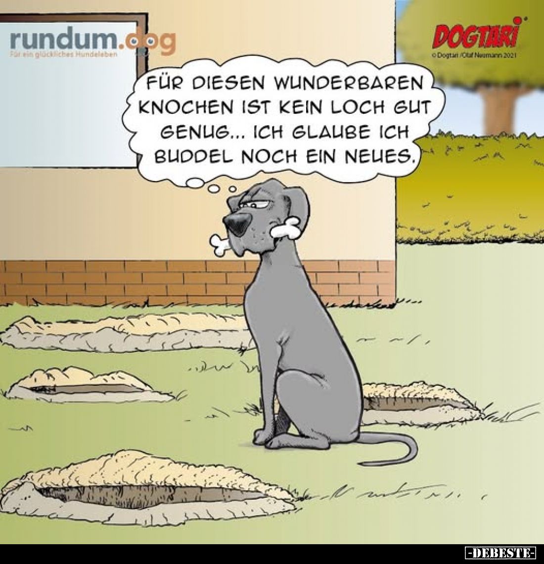 Für diesen wunderbaren Knochen ist kein Loch gut genug... Ich glaube ich buddel noch ein neues.