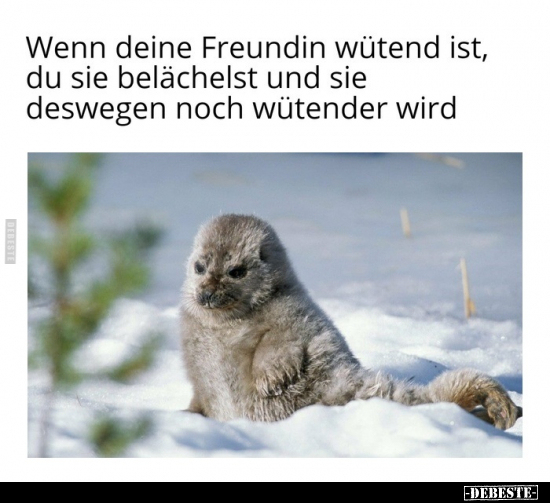 Wenn deine Freundin wütend ist, du sie belächelst und..