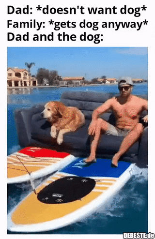  - Lustige Bilder | DEBESTE.de