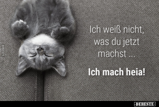 Ich weiß nicht, was du jetzt machst...
Ich mach heia!