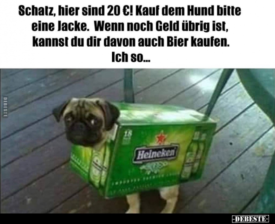 Schatz, hier sind 20€! Kauf dem Hund bitte eine Jacke... - Lustige Bilder | DEBESTE.de