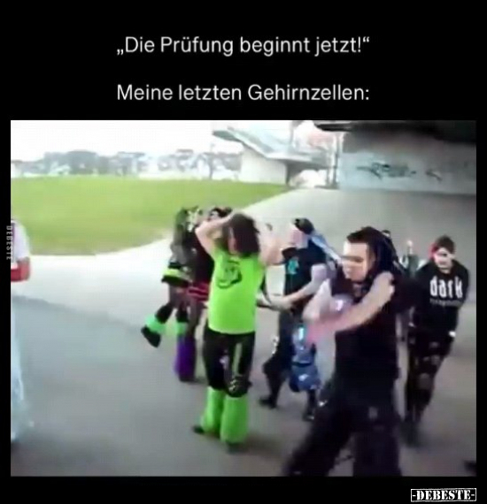 "Die Prüfung beginnt jetzt!.. - Lustige Bilder | DEBESTE.de