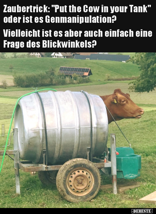 Zaubertrick: "Put the Cow in your Tank" oder ist es.. - Lustige Bilder | DEBESTE.de