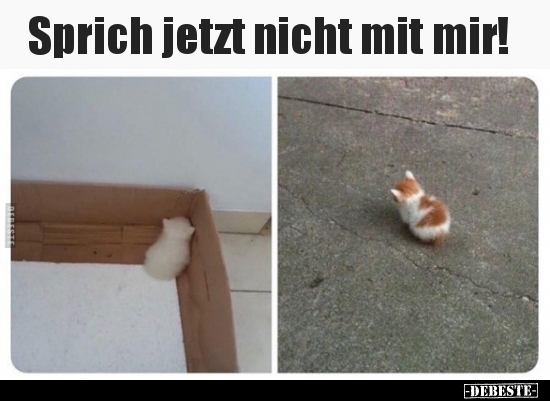Sprich jetzt nicht mit mir!..