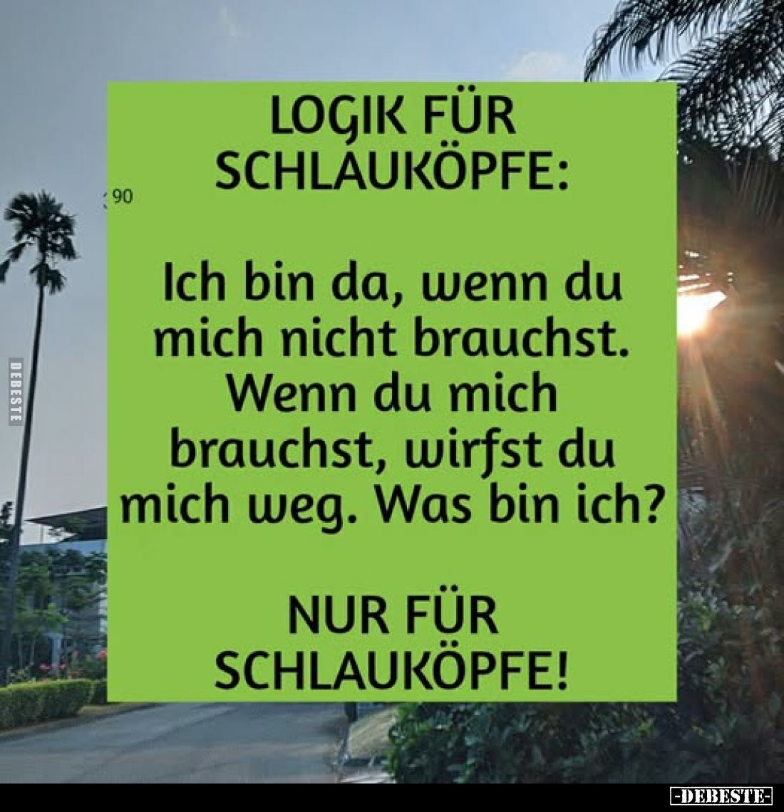 Bild