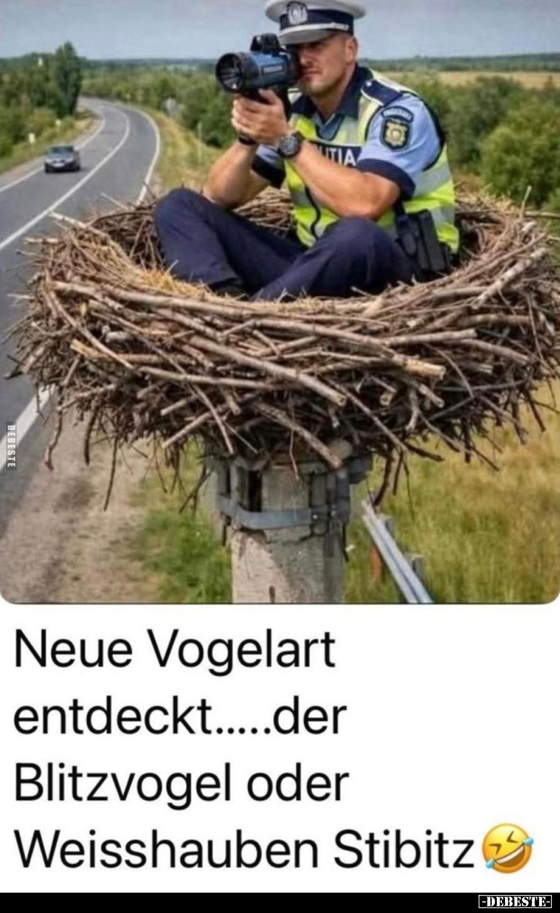 Neue Vogelart entdeckt.....der Blitzvogel oder Weisshauben Stibitz