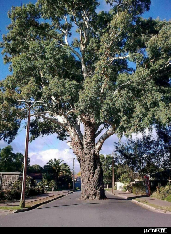  - Lustige Bilder | DEBESTE.de