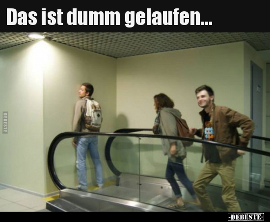 Das ist dumm gelaufen... - Lustige Bilder | DEBESTE.de