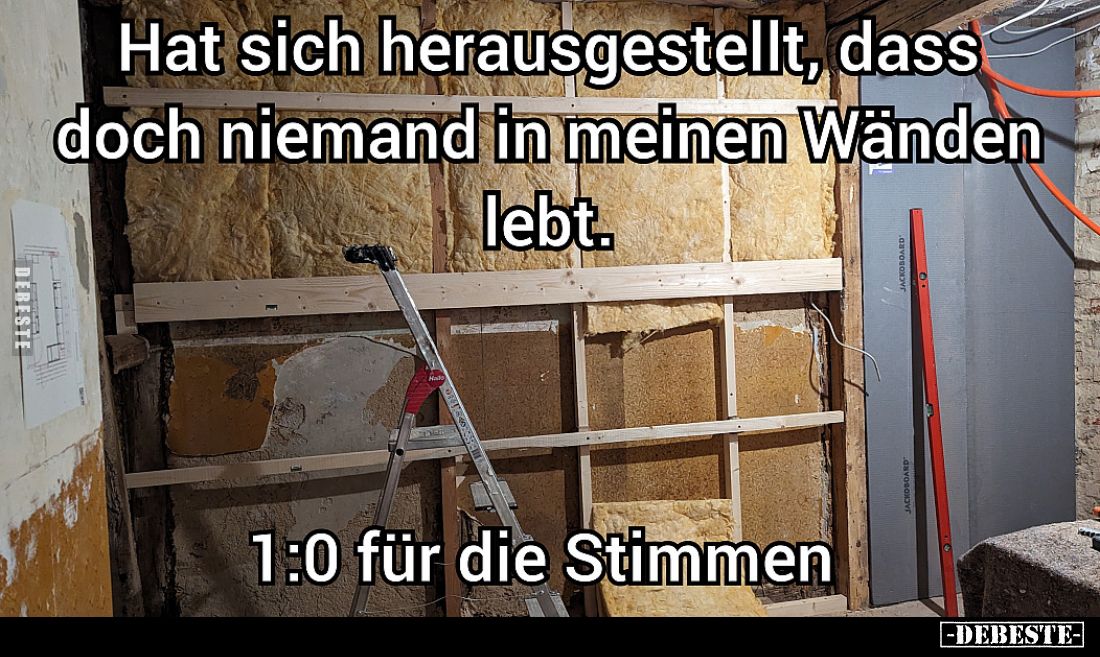 Hat sich herausgestellt, dass doch niemand in meinen Wänden lebt.
1:0 für die Stimmen