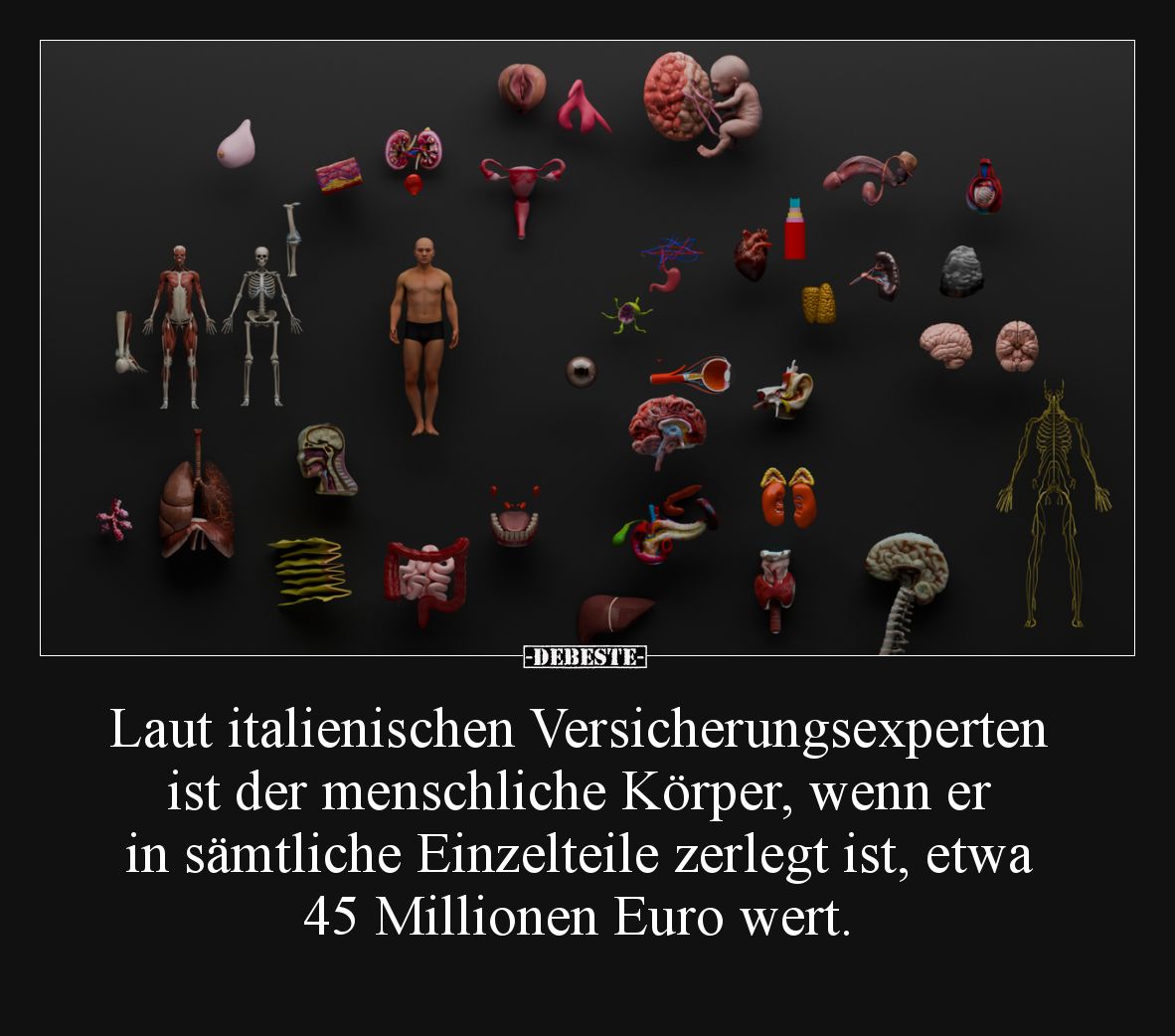 Laut italienischen Versicherungsexperten ist der menschliche Körper, wenn er in sämtliche Einzelteile zerlegt ist, etwa 45 Mi...