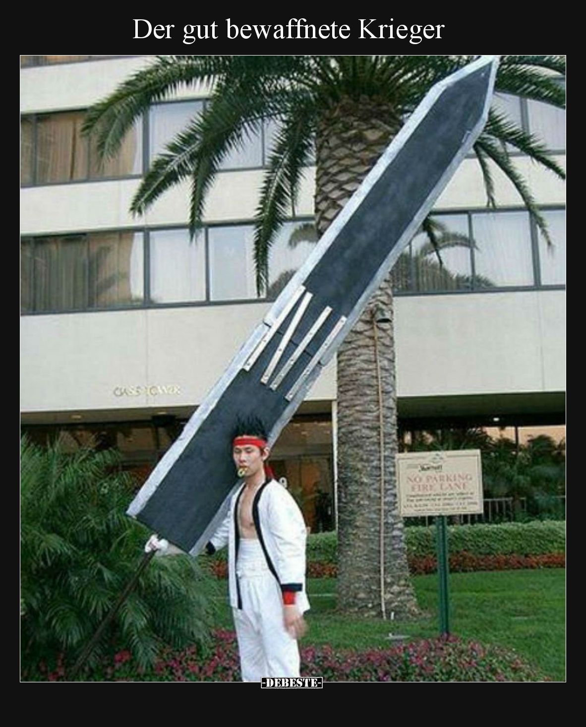 Der gut bewaffnete Krieger