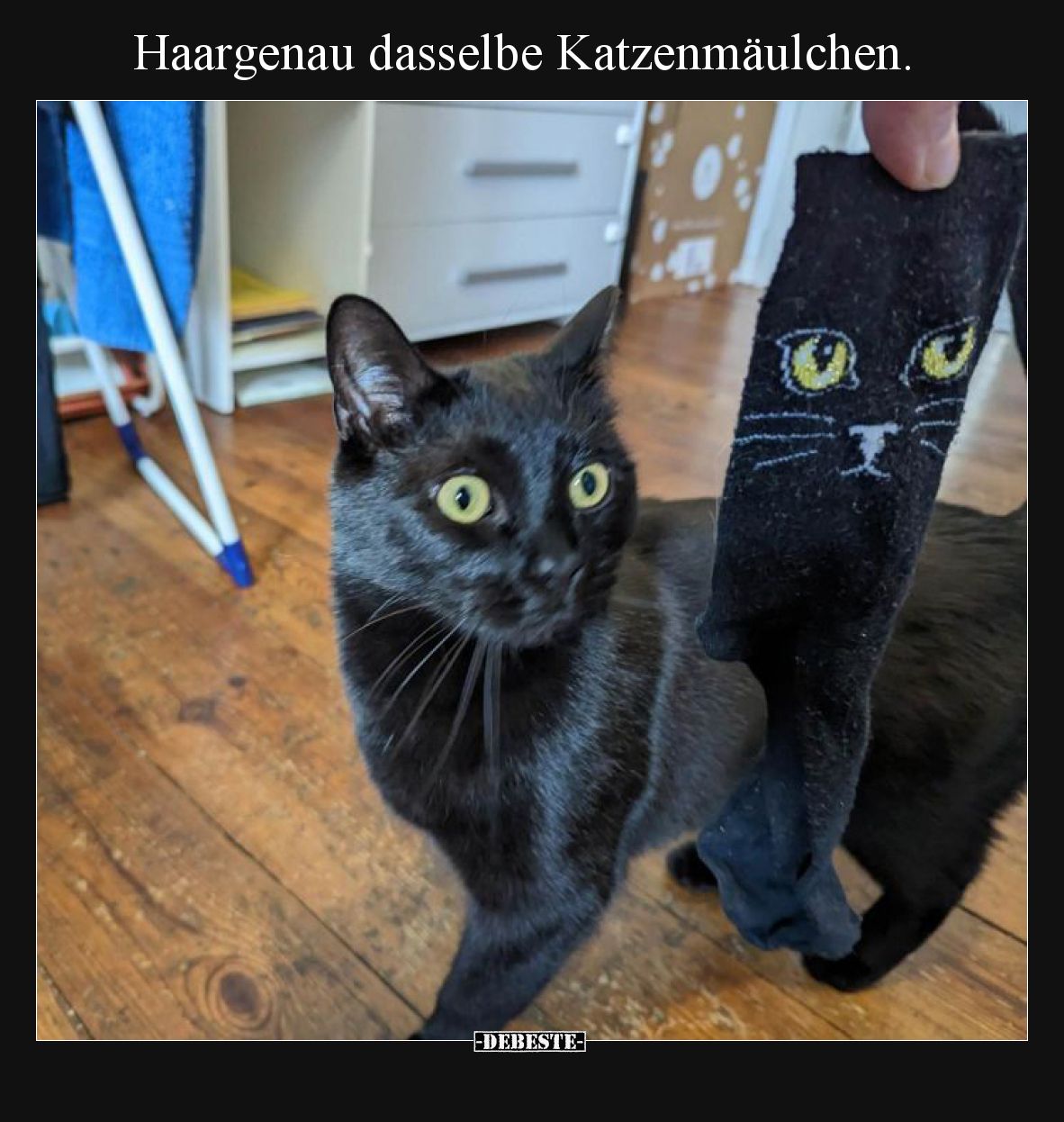 Haargenau dasselbe Katzenmäulchen... - Lustige Bilder | DEBESTE.de