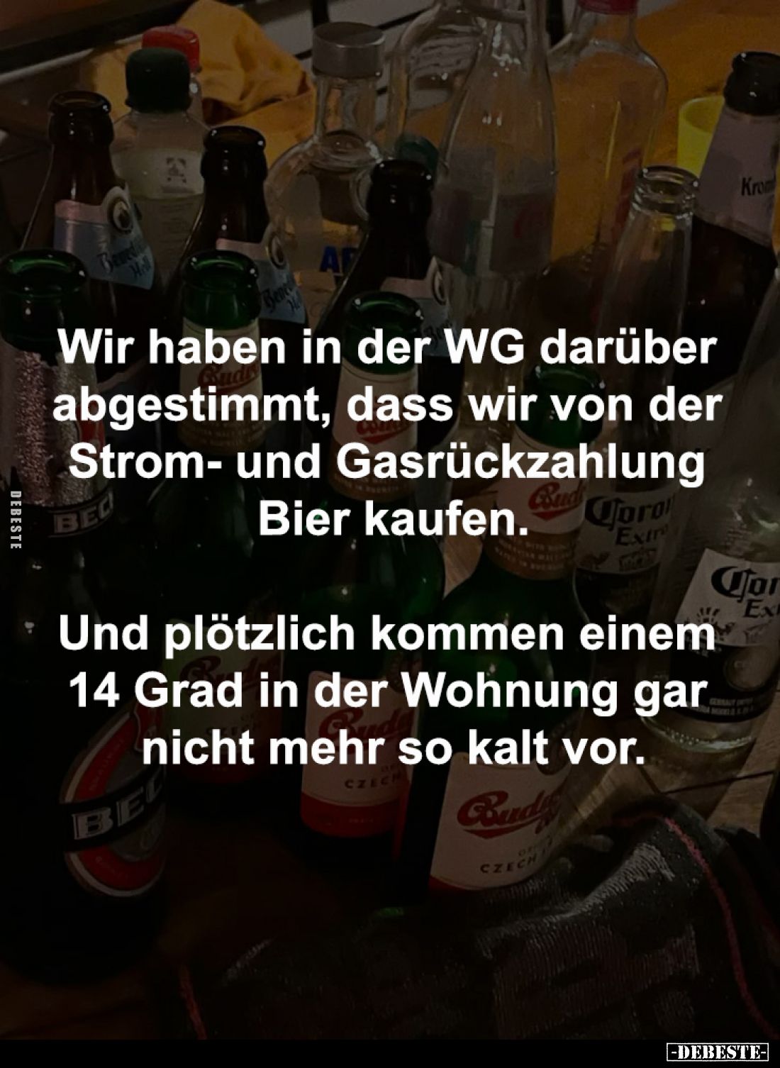 Wir haben in der WG darüber 
abgestimmt, dass wir von der 
Strom- und Gasrückzahlung 
Bier kaufen.

Und plötzlich kommen...