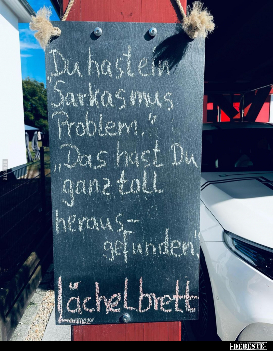 "Du hast ein Sarkasmus Problem.".. - Lustige Bilder | DEBESTE.de