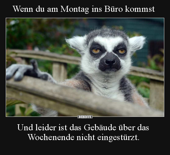 Wenn du am Montag ins Büro kommst, und leider ist das.. - Lustige Bilder | DEBESTE.de