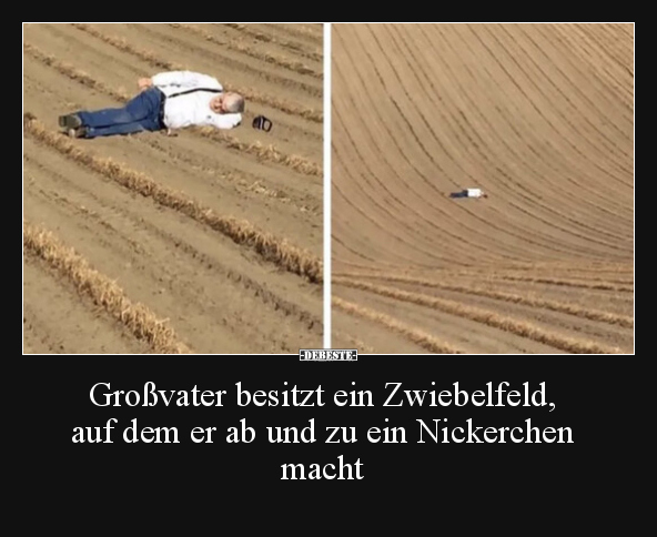 Großvater besitzt ein Zwiebelfeld, auf dem er ab und zu.. - Lustige Bilder | DEBESTE.de