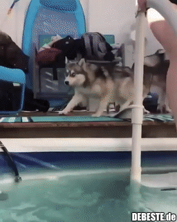 Oh nein! Schlechter Zug!