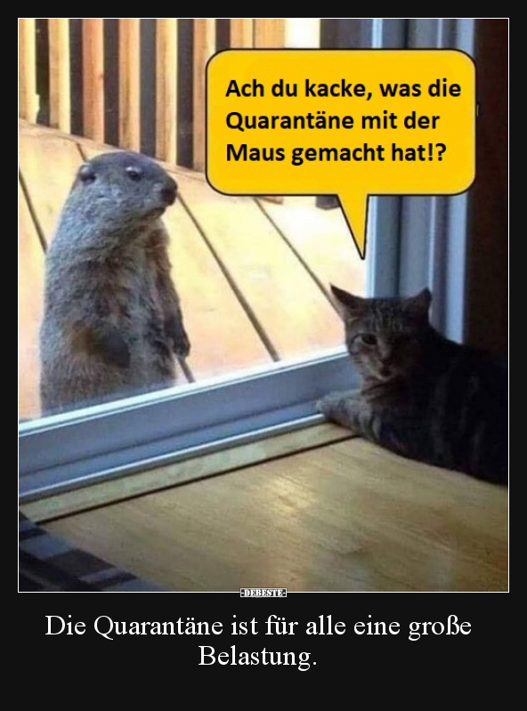 Die Quarantäne ist für alle eine große Belastung...