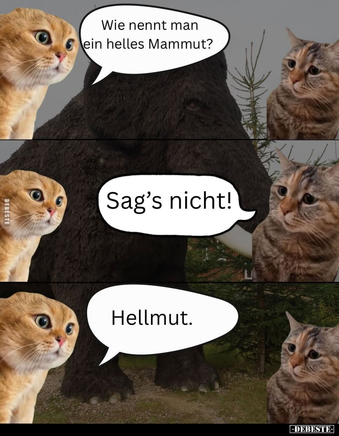 Wie nennt man ein helles Mammut? -
Sag's nicht!
-
Hellmut.