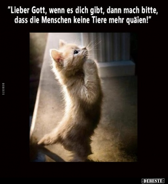 "Lieber Gott, wenn es dich gibt, dann mach bitte, dass die.." - Lustige Bilder | DEBESTE.de
