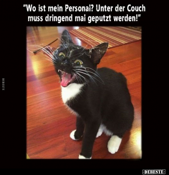"Wo ist mein Personal? Unter der Couch".. - Lustige Bilder | DEBESTE.de