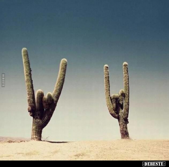  - Lustige Bilder | DEBESTE.de