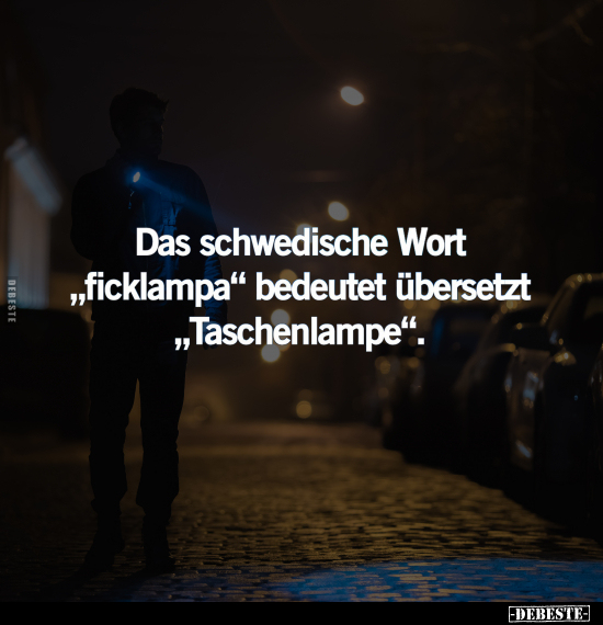 Das schwedische Wort "fi*cklampa".. - Lustige Bilder | DEBESTE.de