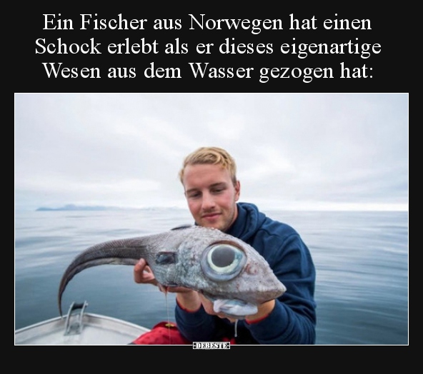 Ein Fischer aus Norwegen hat einen Schock erlebt als er.. - Lustige Bilder | DEBESTE.de