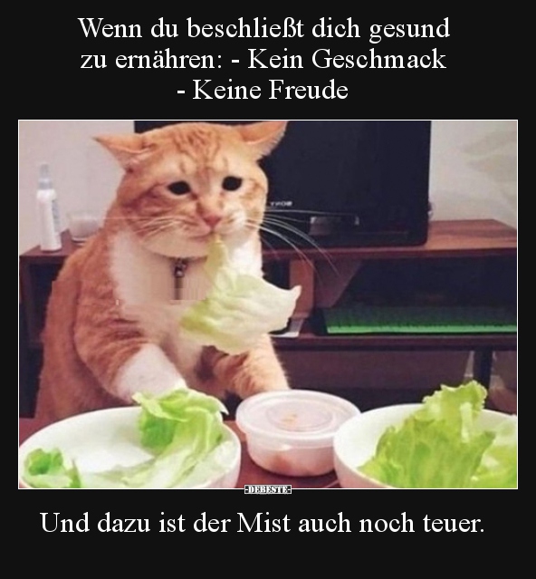 Wenn du beschließt dich gesund zu ernähren.. - Lustige Bilder | DEBESTE.de