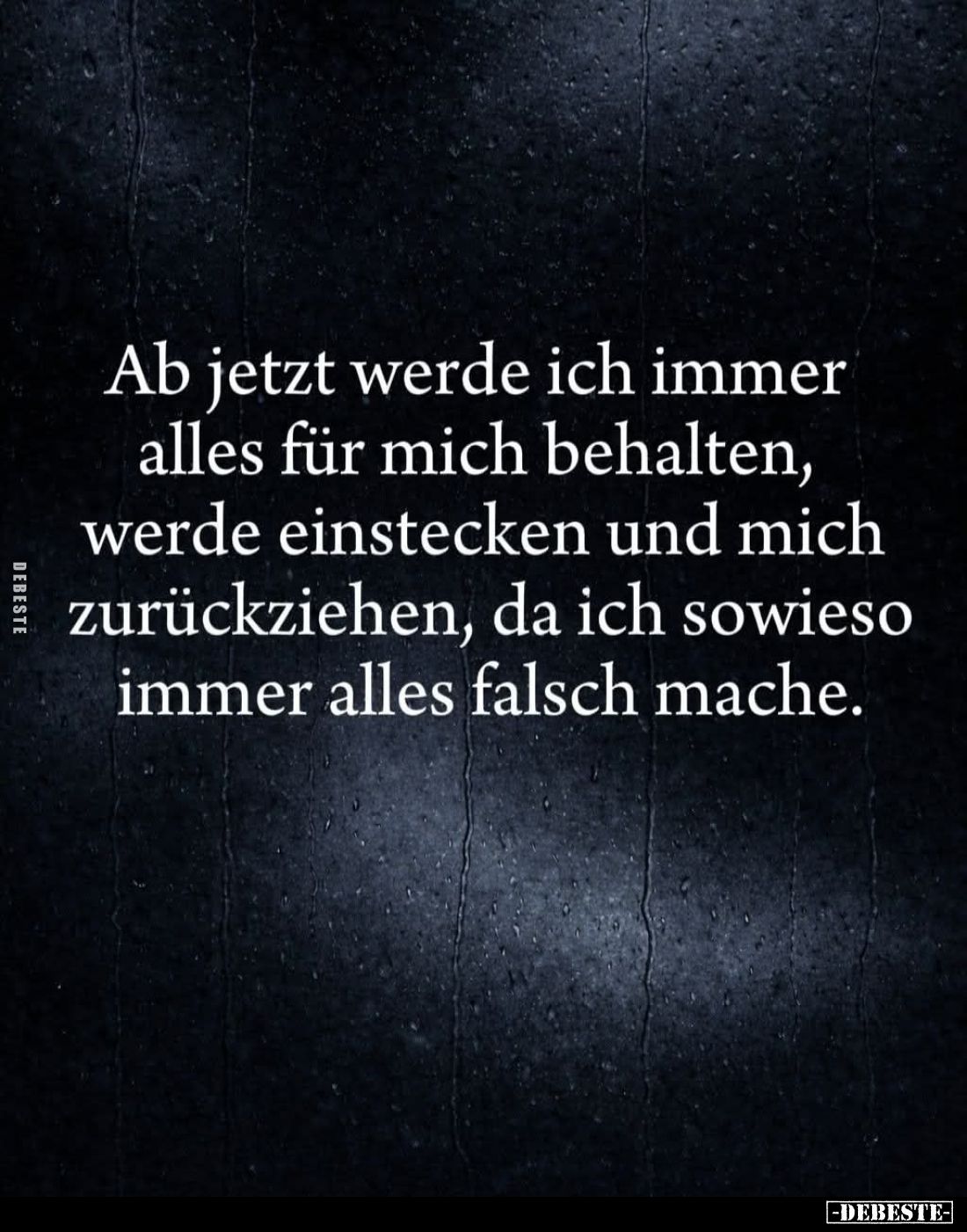 Ab jetzt werde ich immer alles für mich behalten, werde einstecken und mich zurückziehen, da ich sowieso immer alles falsch m...