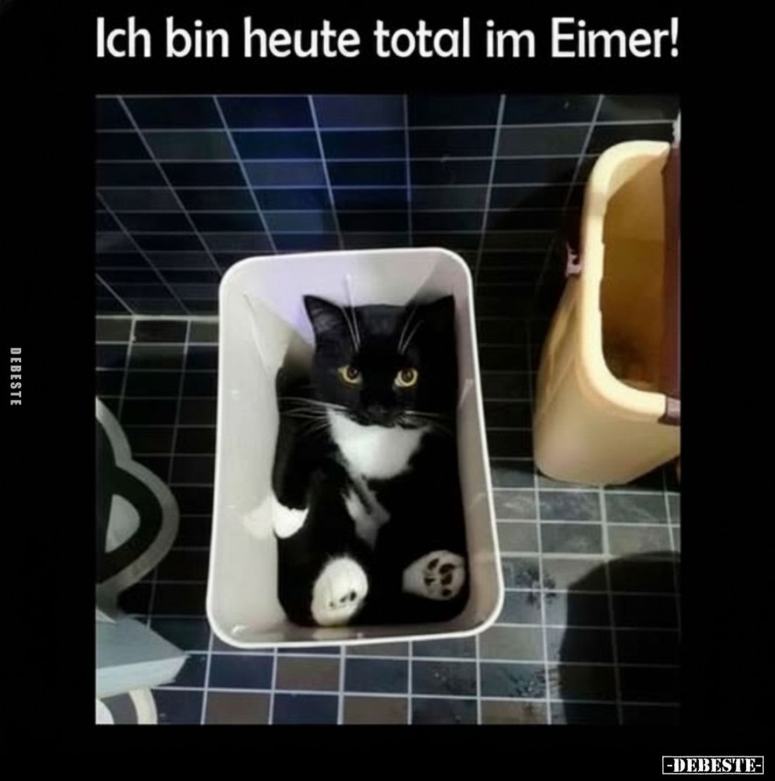 Ich bin heute total im Eimer!.. - Lustige Bilder | DEBESTE.de