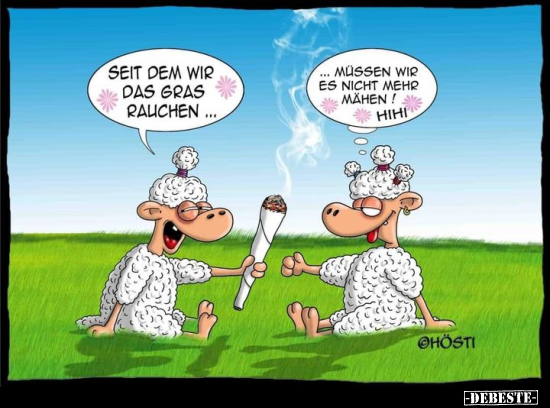 Seitdem wir das Gras rauchen... - Lustige Bilder | DEBESTE.de