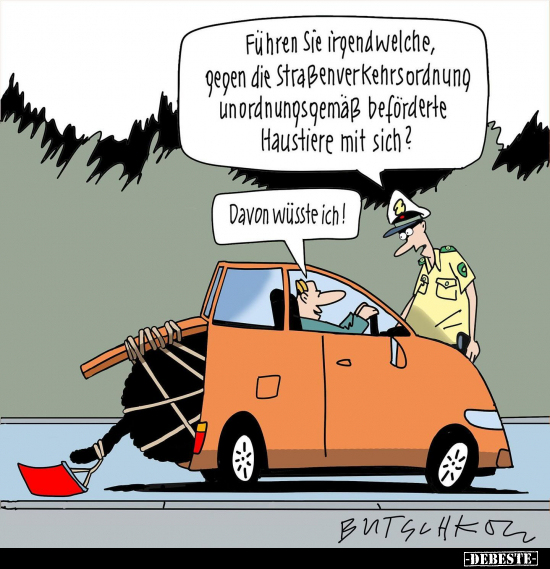 Führen Sie irgendwelche, gegen die Straßenverkehrsordnung.. - Lustige Bilder | DEBESTE.de