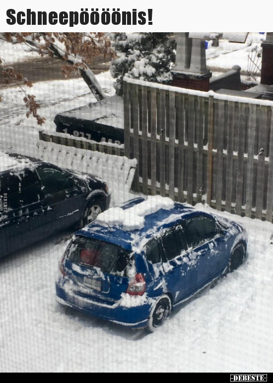 Schneepöööönis!..
