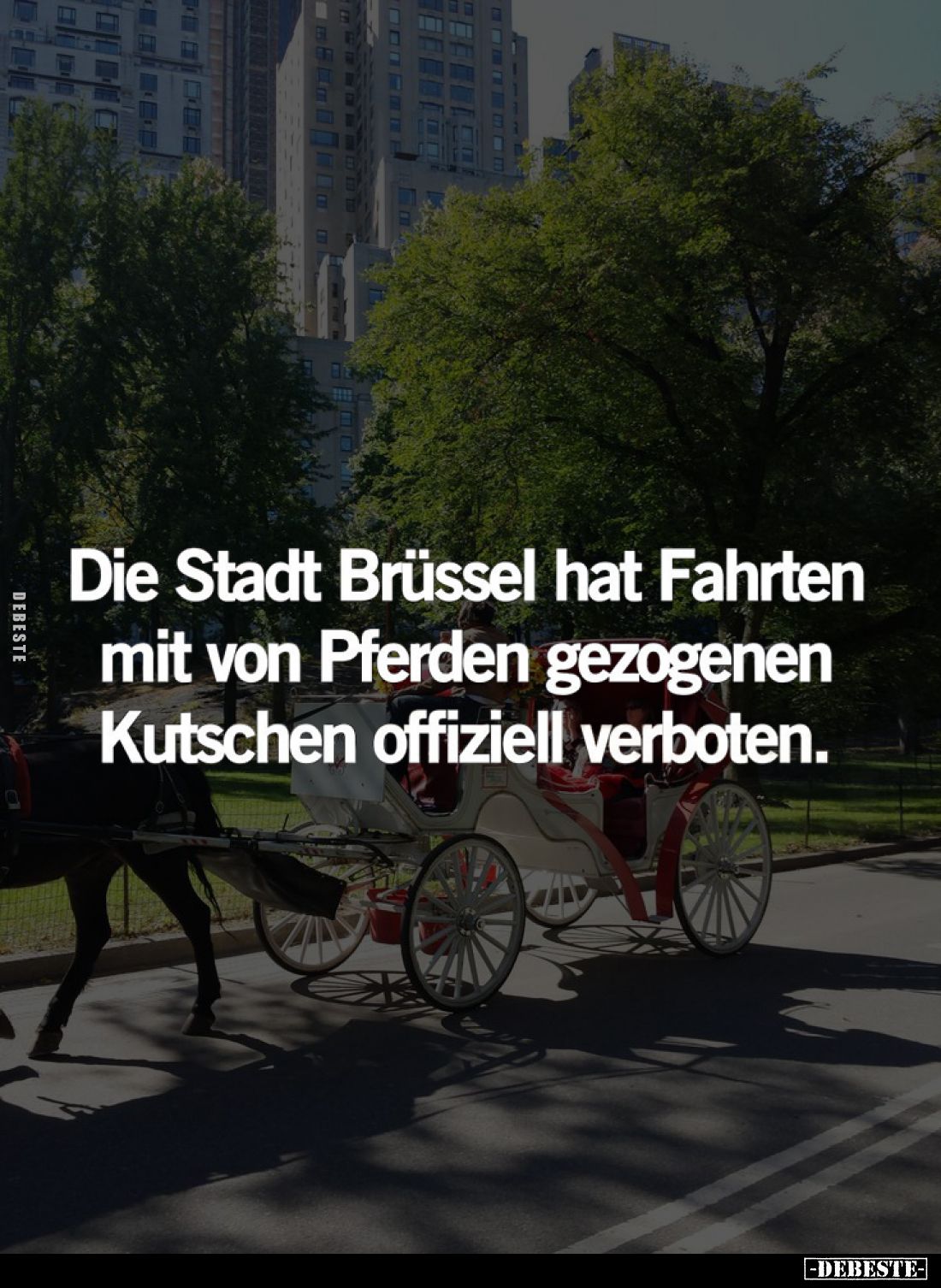 Die Stadt Brüssel hat Fahrten mit von Pferden gezogenen Kutschen offiziell verboten.