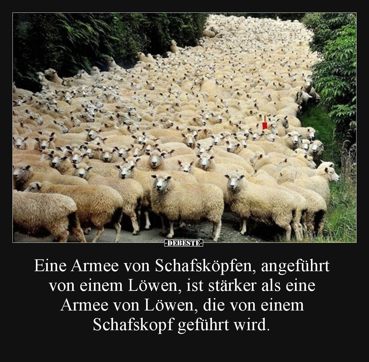 Eine Armee von Schafsköpfen, angeführt von einem Löwen, ist stärker als eine Armee von Löwen, die von einem Schafskopf geführ...
