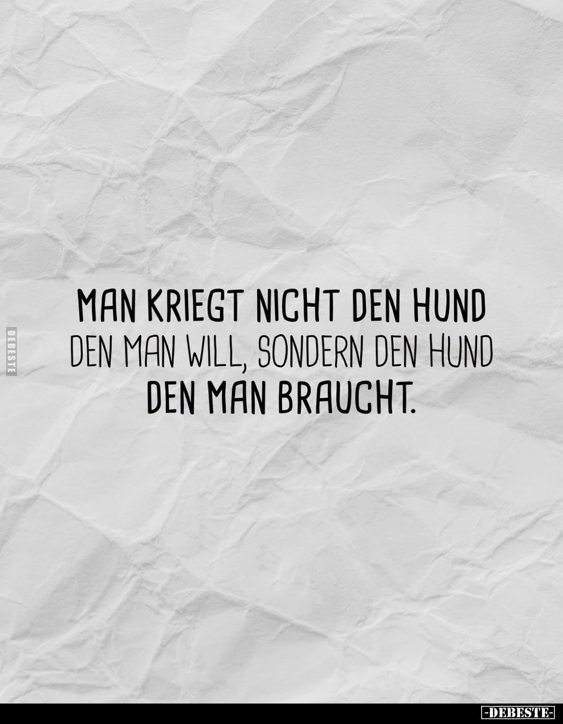 Man kriegt nicht den Hund den man will, sondern den Hund.. - Lustige Bilder | DEBESTE.de