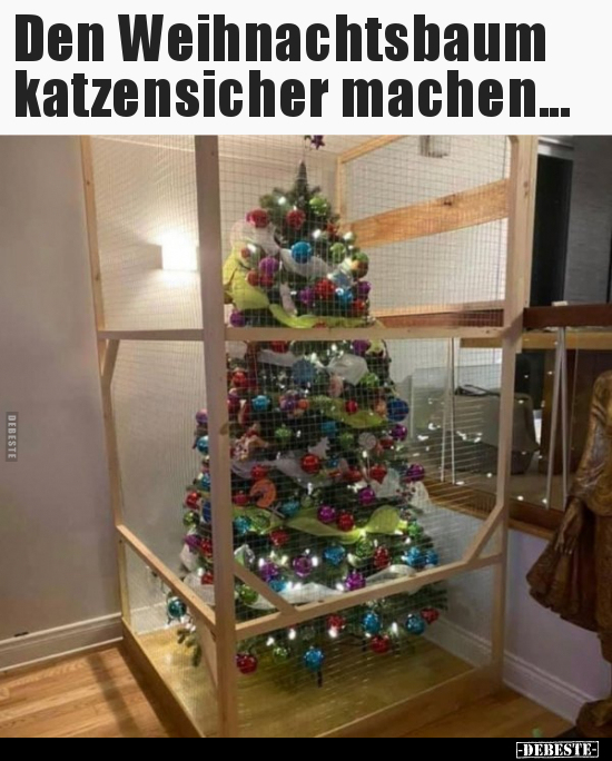 Den Weihnachtsbaum katzensicher machen... - Lustige Bilder | DEBESTE.de