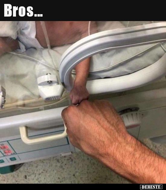 Bros...