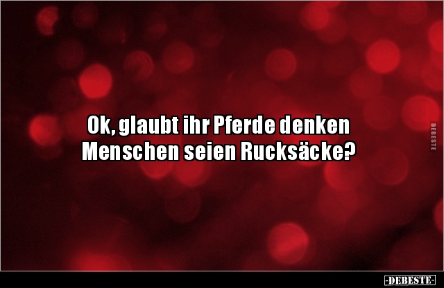 Ok, glaubt ihr Pferde denken Menschen seien Rucksäcke?.. - Lustige Bilder | DEBESTE.de