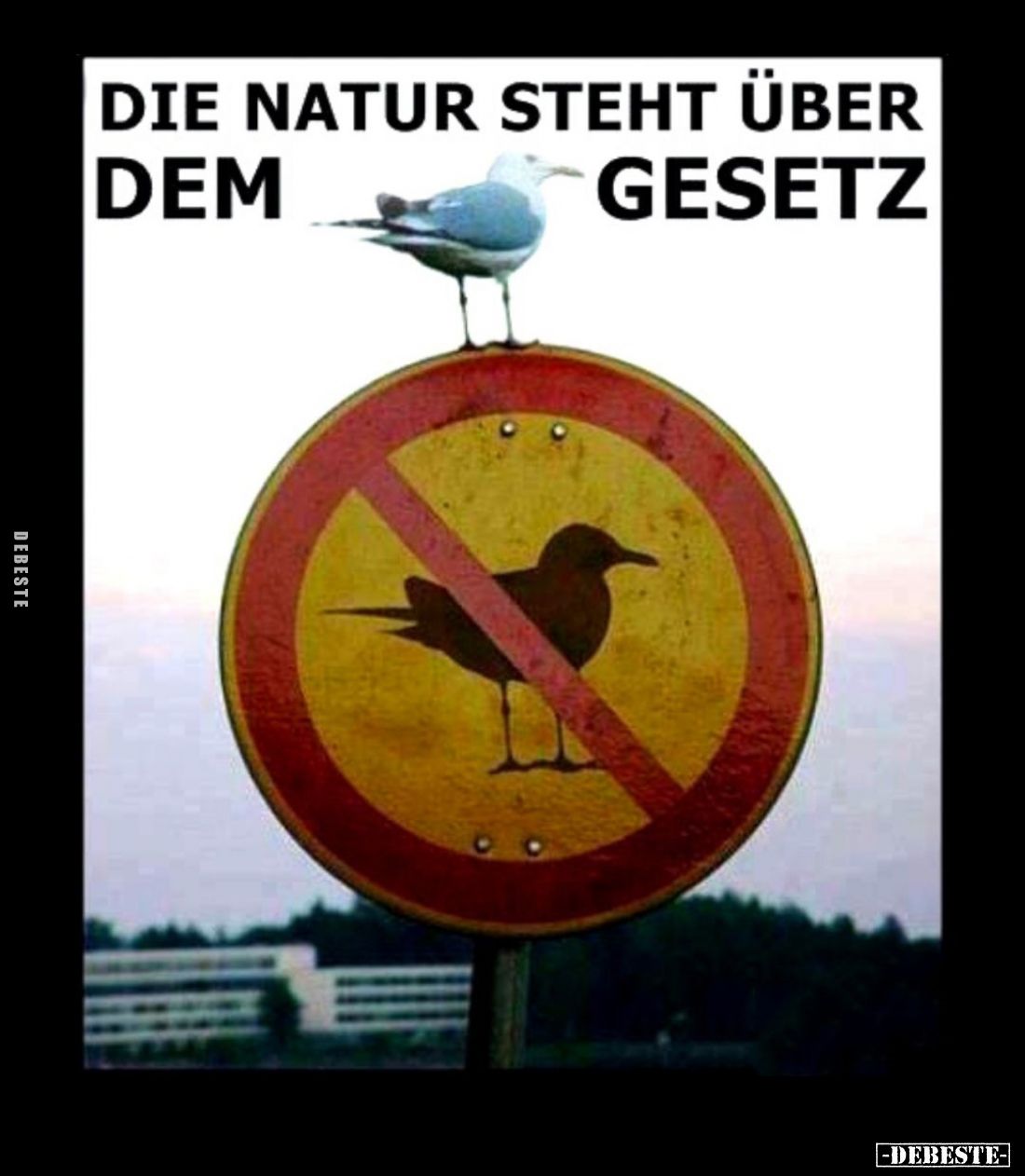 Die Natur steht über dem Gesetz.