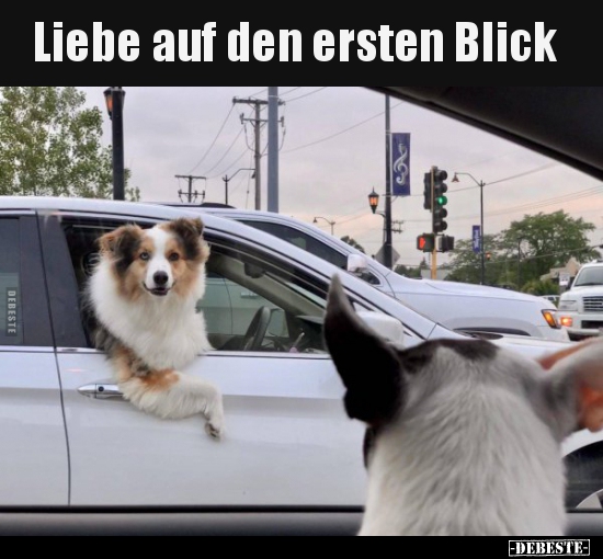 Liebe auf den ersten Blick..