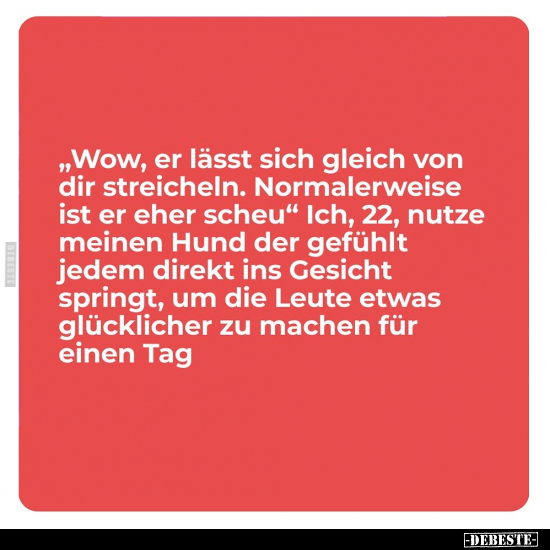 „Wow, er lässt sich gleich von dir streicheln.." - Lustige Bilder | DEBESTE.de