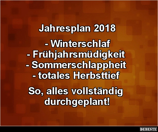 Jahresplan 2018.. - Lustige Bilder | DEBESTE.de