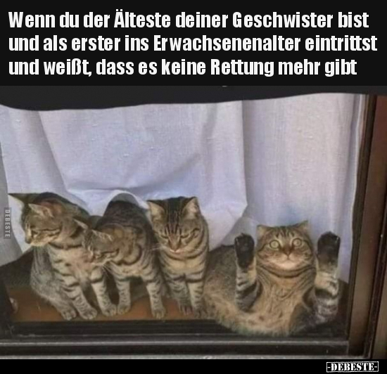 Wenn du der Älteste deiner Geschwister bist und als erster.. - Lustige Bilder | DEBESTE.de