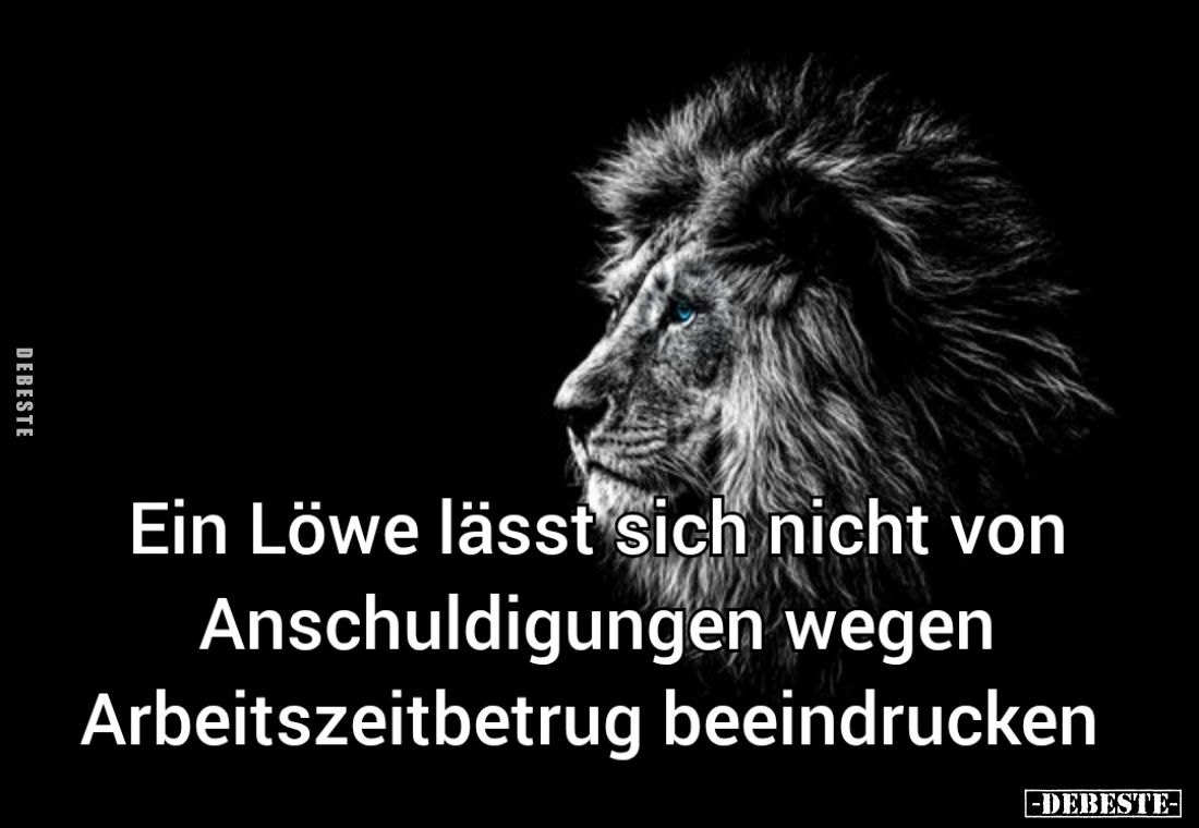 Ein Löwe lässt sich nicht von Anschuldigungen wegen Arbeitszeitbetrug beeindrucken.